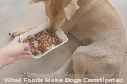 What Foods Make Dogs Constipated