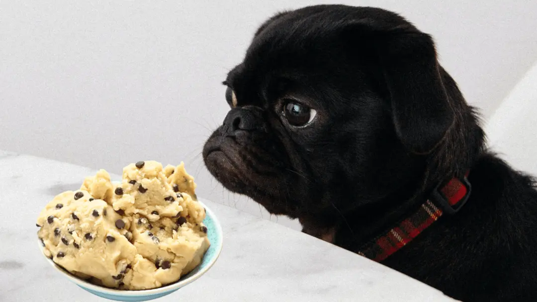 can dogs eat cookie dough