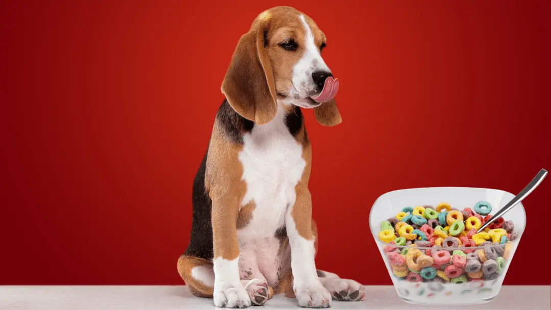 can dogs eat froot loops