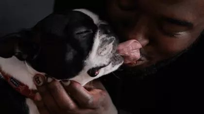 what happens if a dog licks your mouth